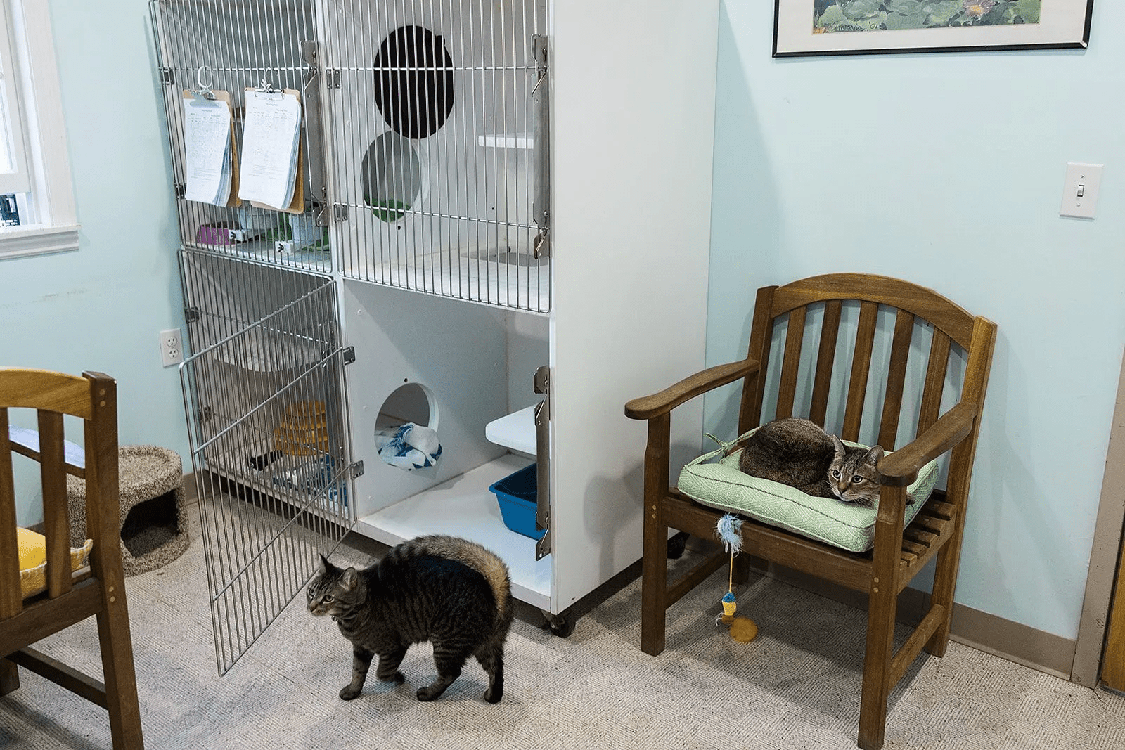 a cat in a chair next to a cage