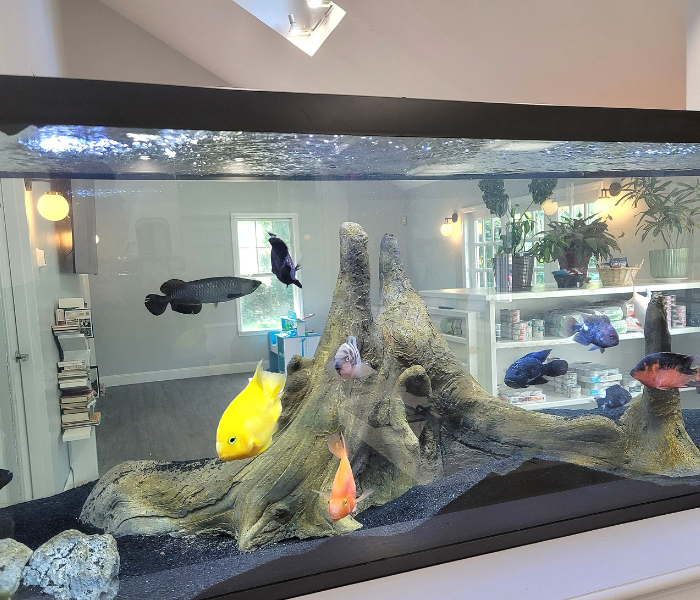 fish tank in lobby